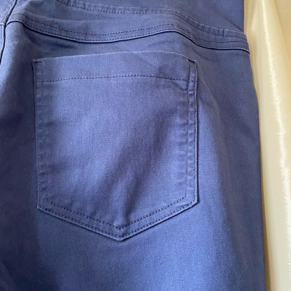 Terra & Sky Jeggings